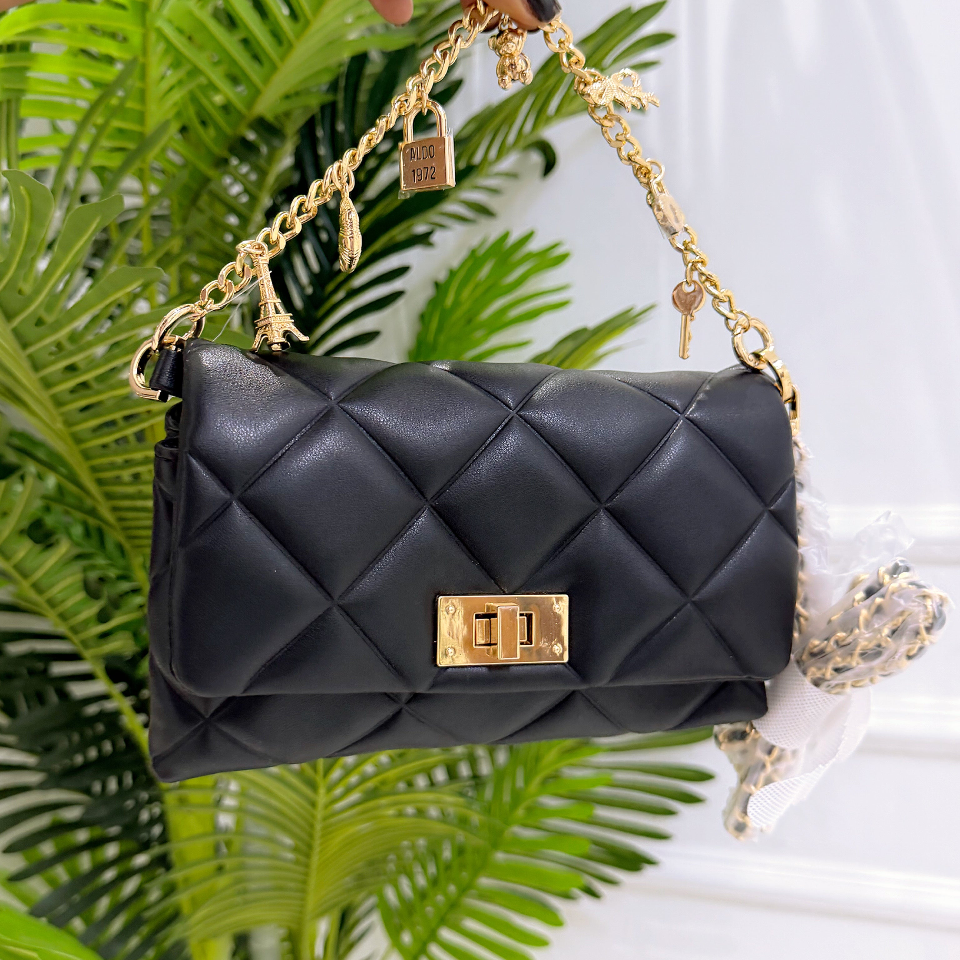 ALDO MINI BAG